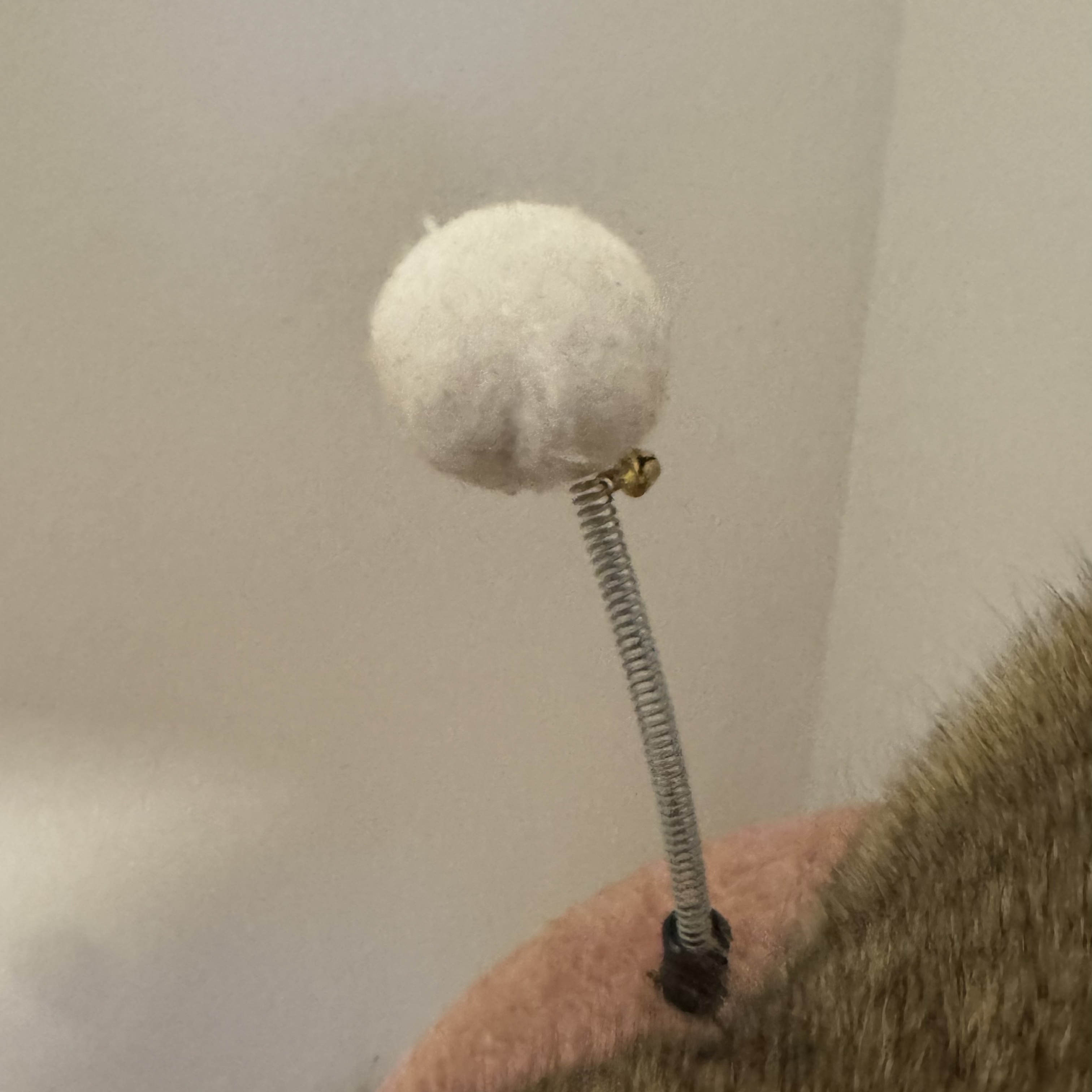 put a description here or you will lose grades