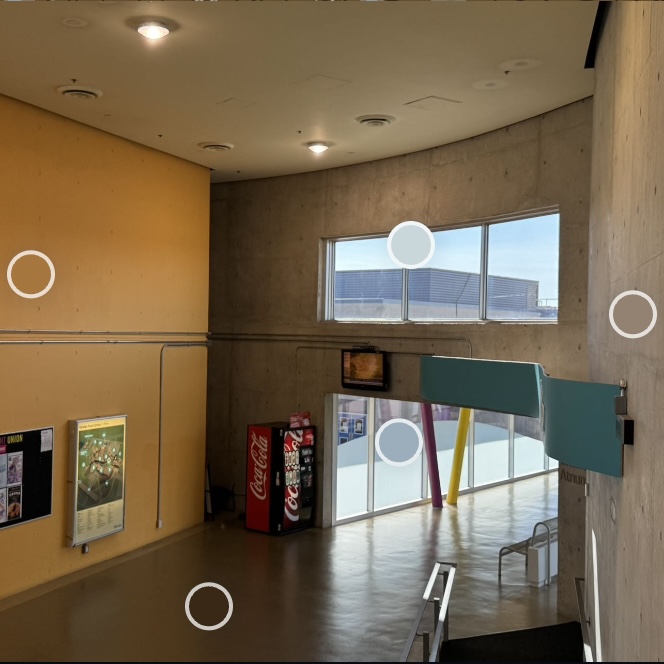 Yellow, light blue, gray, dark yellow, brown