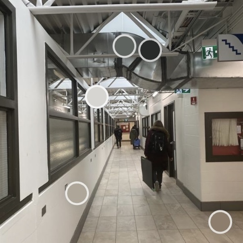 Black, gray, and white