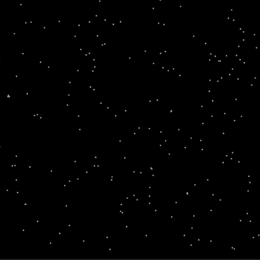 the stars shine through